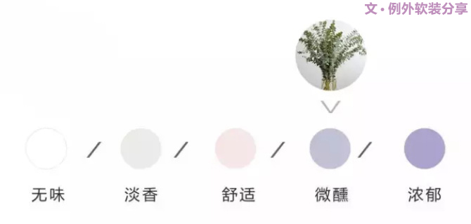 【例外.花箋記】尤加利，花藝界的百搭神葉-別墅設(shè)計(jì),軟裝設(shè)計(jì),室內(nèi)設(shè)計(jì),豪宅設(shè)計(jì),深圳例外軟裝設(shè)計(jì)公司